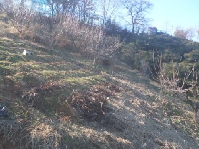 전주시 완산구 삼천동2가 대지,임야,전답 경매 물건 사진