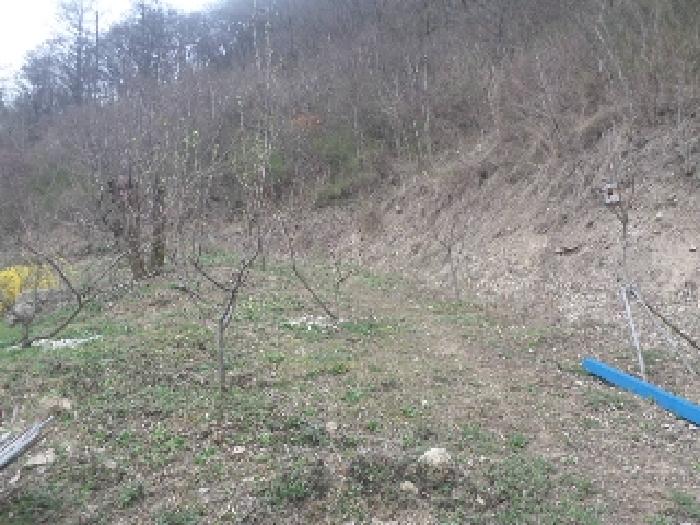 완주군 구이면 계곡리 임야 경매 물건 사진