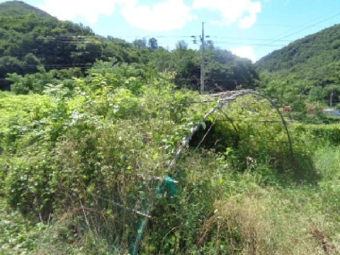 완주군 운주면 산북리 전답 경매 물건 사진