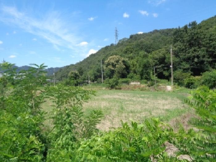 전주시 완산구 색장동 답 경매 물건 사진