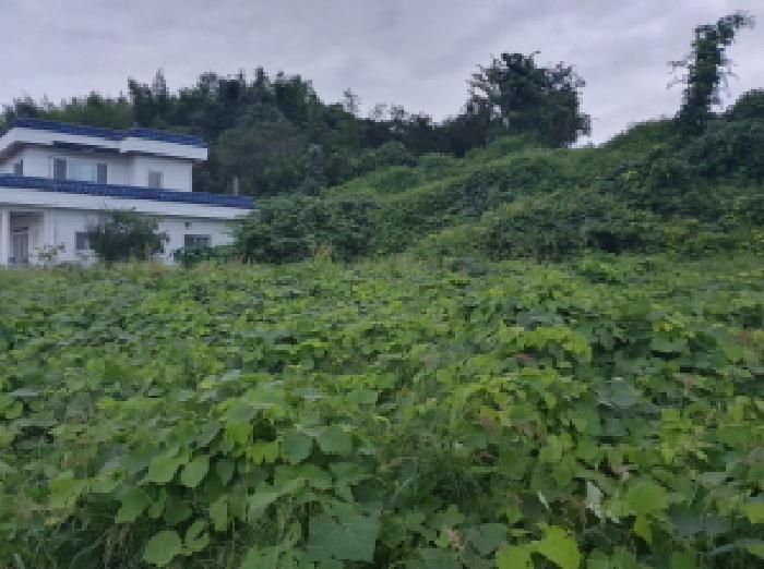 전주시 완산구 삼천동2가 대지 경매 물건 사진