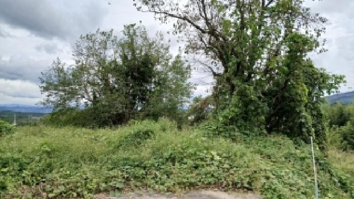 임실군 오수면 둔덕리 대지,임야,전답 경매 물건 사진