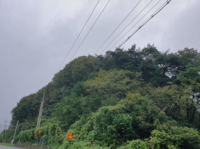 김제시 금산면 화율리 임야 경매 물건 사진