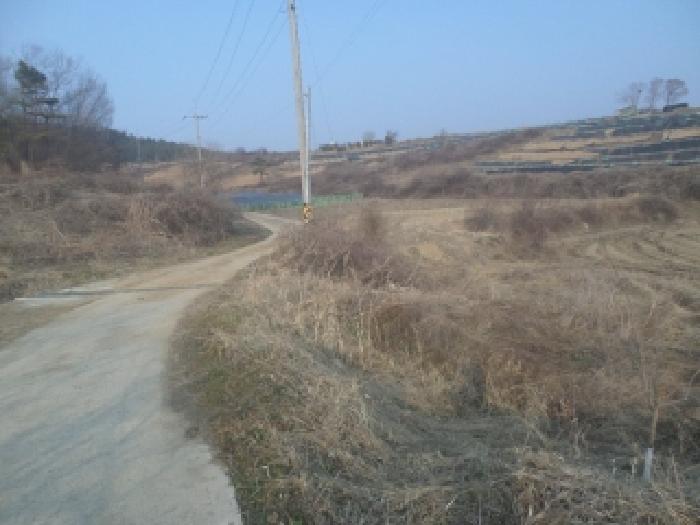 임실군 신평면 호암리 임야 경매 물건 사진