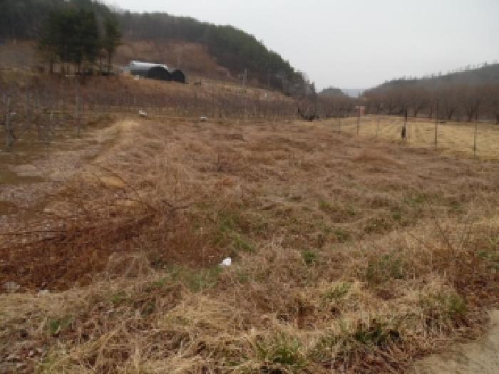 무주군 무풍면 현내리 전답 경매 물건 사진