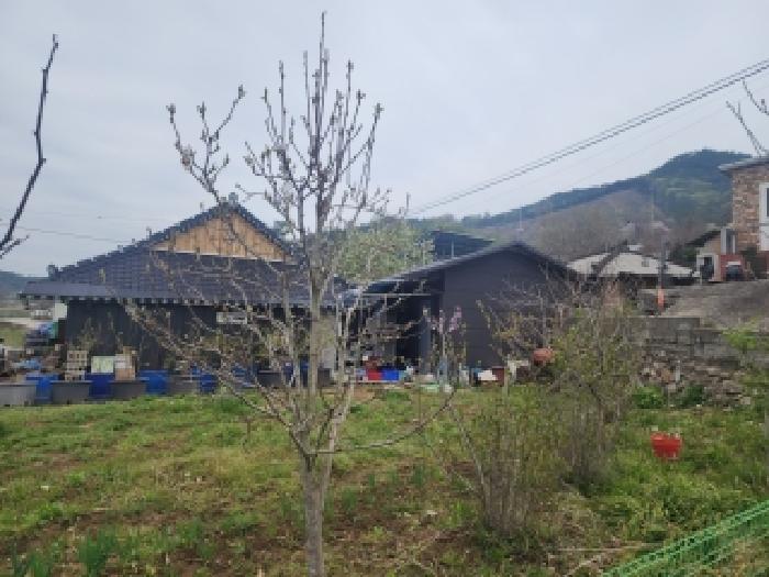 김제시 금산면 용호리 대지 경매 물건 사진