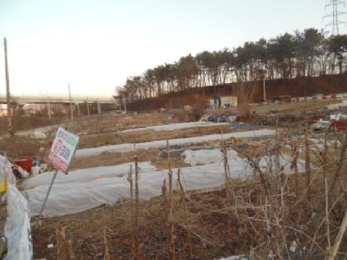 전주시 완산구 중인동 전답 경매 물건 사진