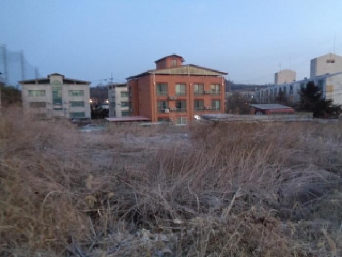 전주시 완산구 효자동3가 전답 경매 물건 사진