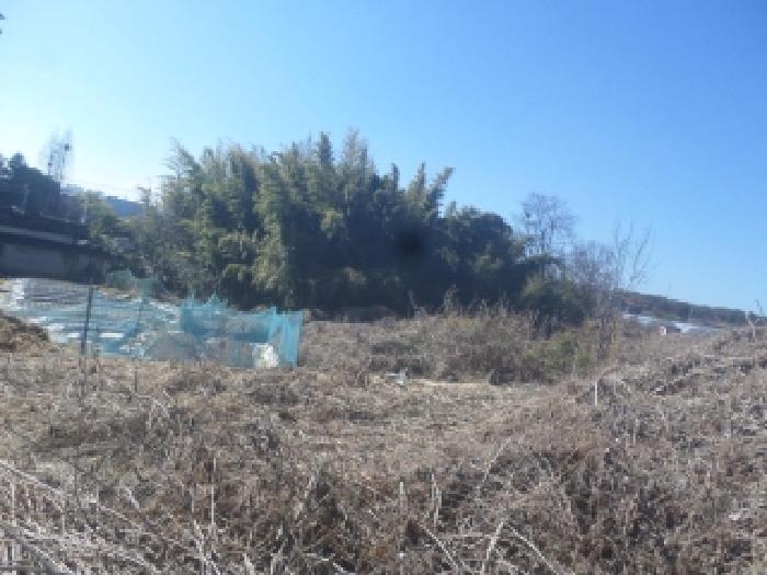 전주시 덕진구 장동 대지,임야,전답 경매 물건 사진