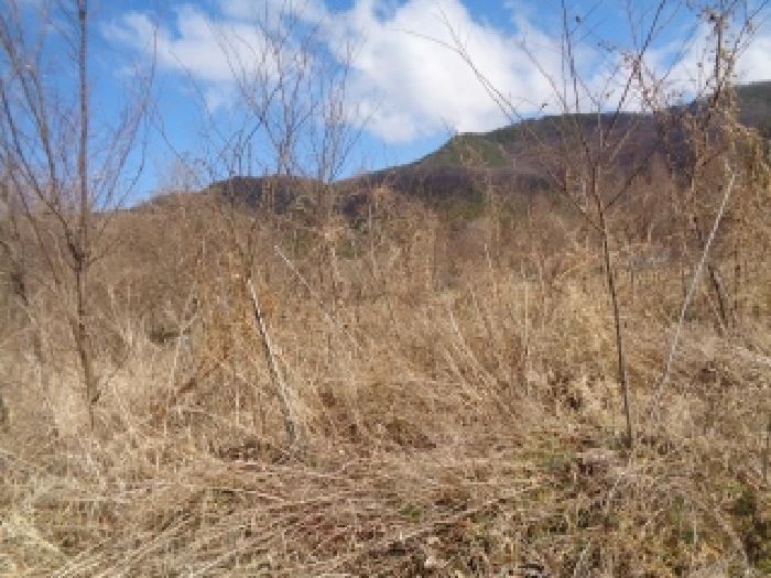 전주시 완산구 대성동 전답 경매 물건 사진