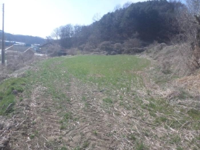 임실군 성수면 오봉리 전답 경매 물건 사진
