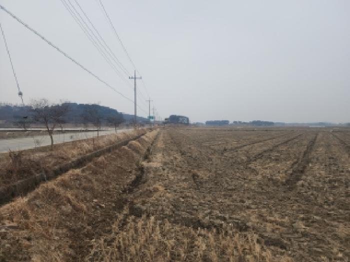 김제시 청하면 동지산리 대지,임야,전답 경매 물건 사진