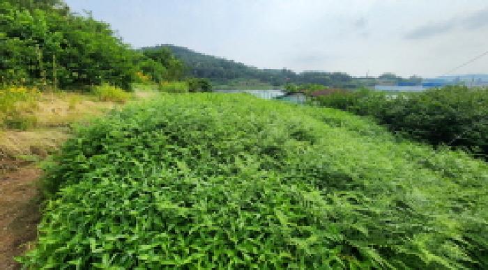 군산시 나포면 옥곤리 전답 경매 물건 사진