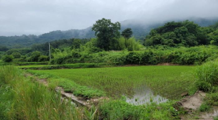 익산시 신흥동 1526 대지,임야,전답 경매 물건 사진