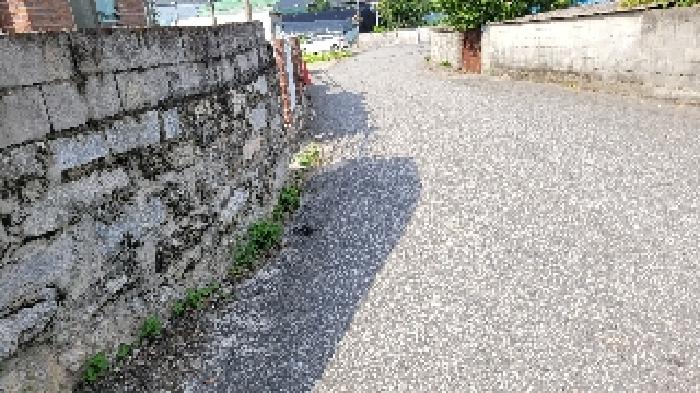 익산시 망성면 신작리 도로 경매 물건 사진