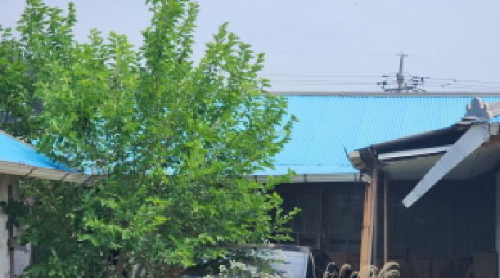 군산시 옥서면 선연리 도로 경매 물건 사진