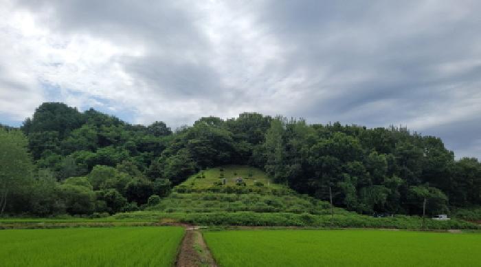 익산시 왕궁면 동봉리 임야 경매 물건 사진