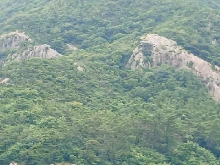 군산시 옥도면 신시도리 임야 경매 물건 사진