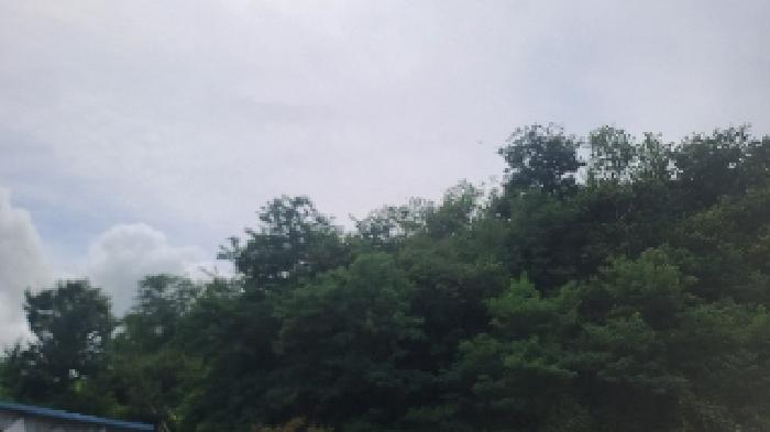 군산시 옥서면 옥봉리 임야 경매 물건 사진