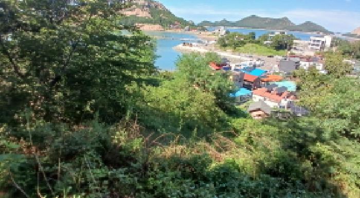 군산시 옥도면 장자도리 임야 경매 물건 사진