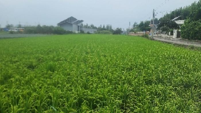 군산시 성산면 둔덕리 전답 경매 물건 사진