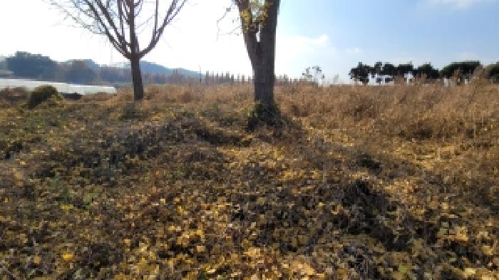 익산시 왕궁면 구덕리 묘지 경매 물건 사진