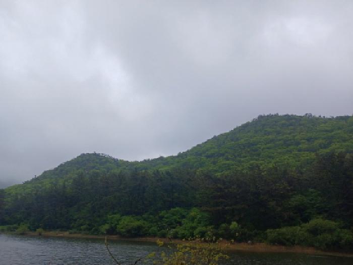 군산시 옥도면 신시도리 임야 경매 물건 사진