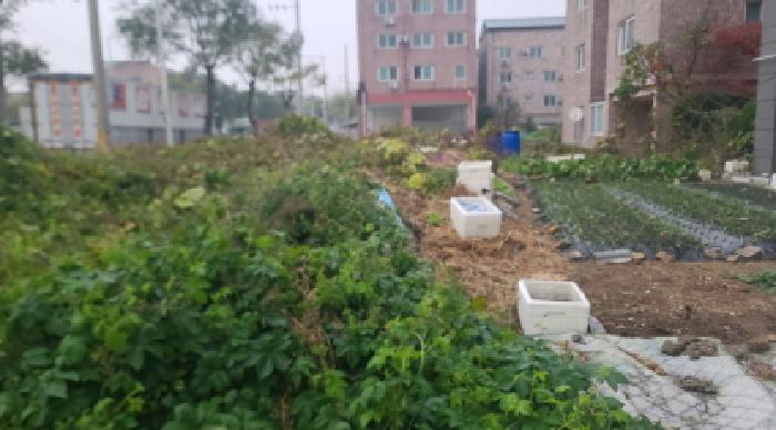 군산시 오식도동 646-7 대지 경매 물건 사진