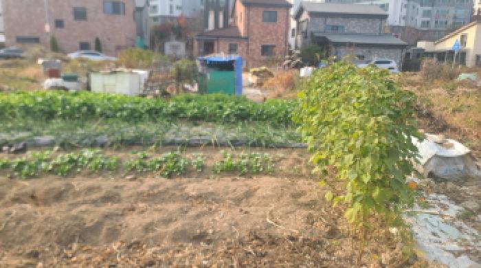 군산시 미장동 489-7 대지 경매 물건 사진