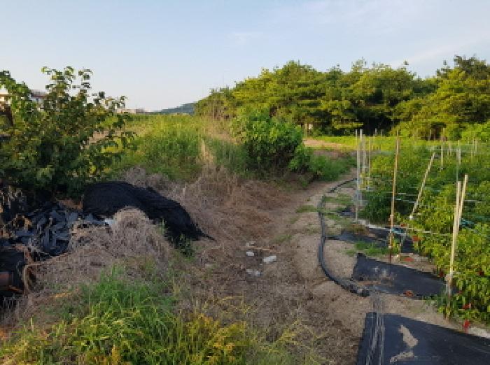 부안군 변산면 격포리 전 경매 물건 사진