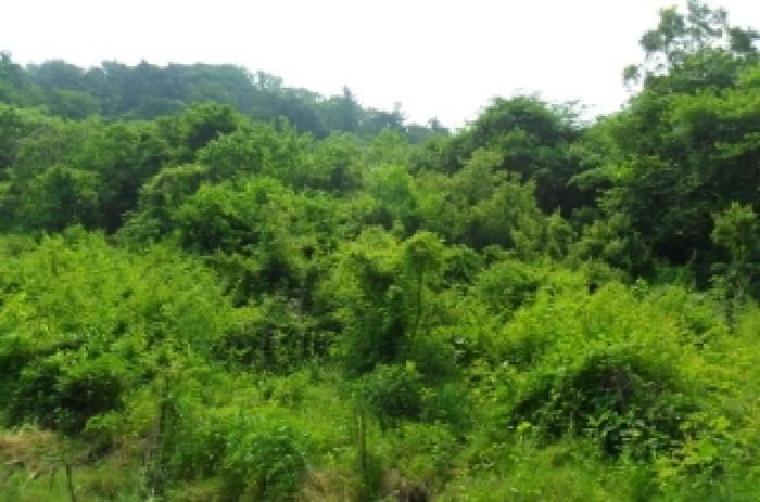 정읍시 산외면 종산리 전 경매 물건 사진