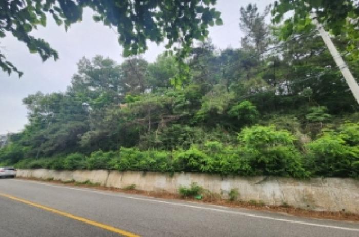 정읍시 산외면 정량리 답 경매 물건 사진