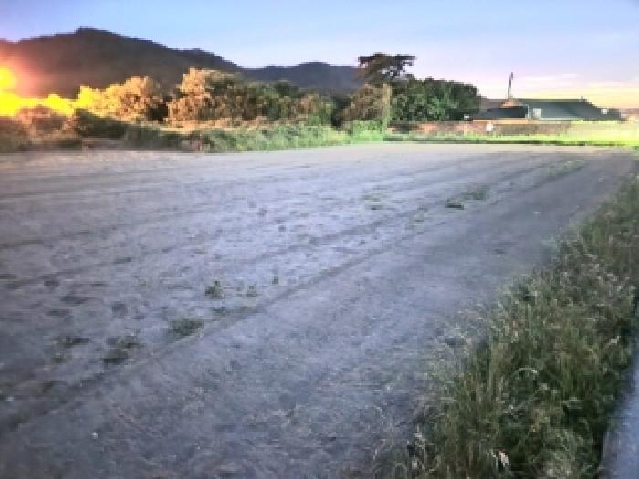 부안군 변산면 운산리 대지 경매 물건 사진