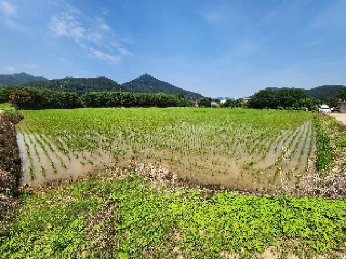 부안군 진서면 진서리 전 경매 물건 사진