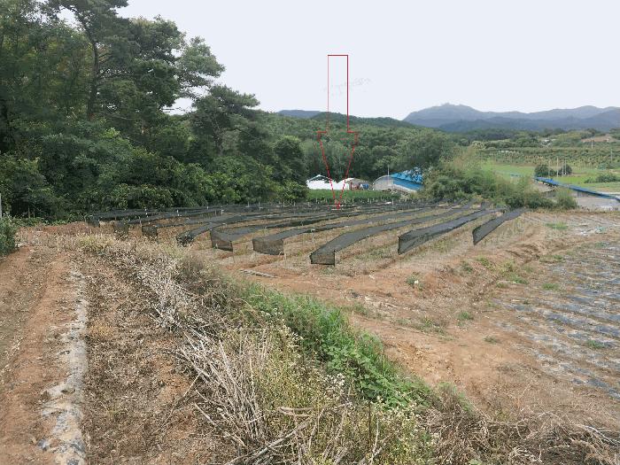정읍시 농소동 48-165 답 경매 물건 사진