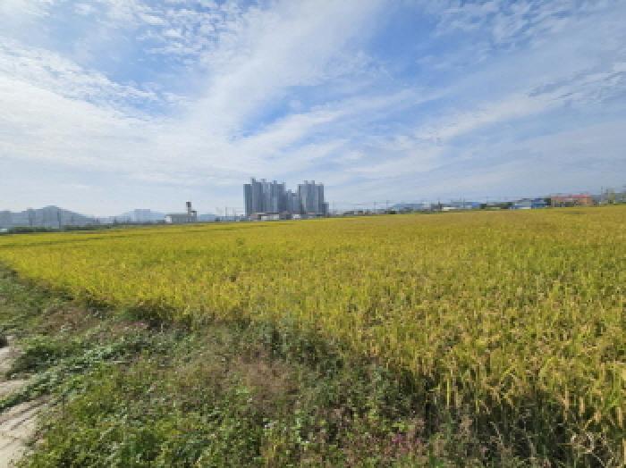 정읍시 농소동 33-91 답 경매 물건 사진