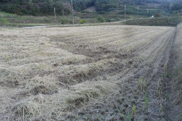 고창군 상하면 송곡리 답 경매 물건 사진
