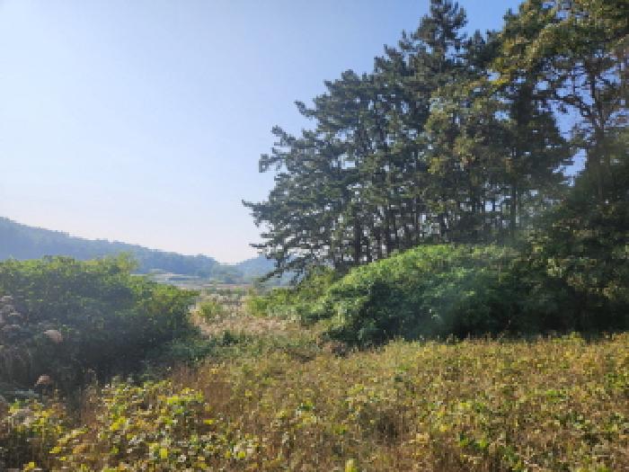 부안군 계화면 의복리 전 경매 물건 사진