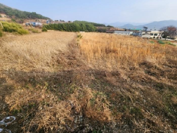 부안군 변산면 마포리 답 경매 물건 사진