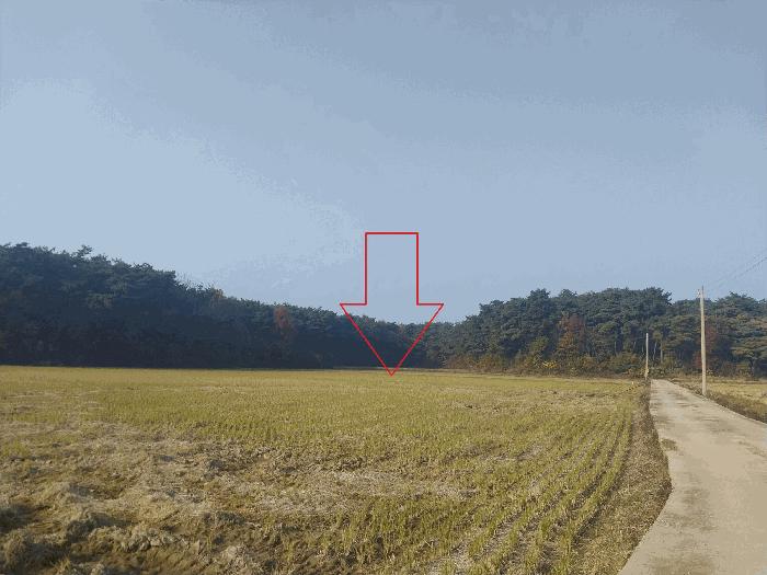 부안군 줄포면 우포리 답 경매 물건 사진