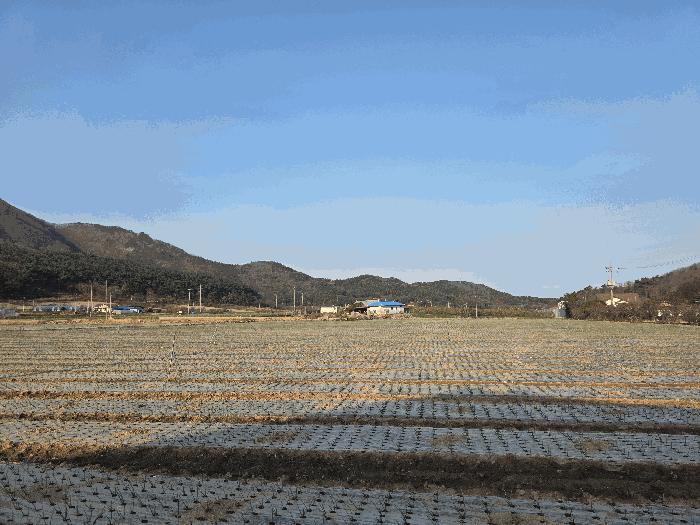 부안군 변산면 지서리 전 경매 물건 사진