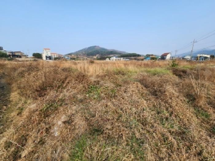 부안군 변산면 마포리 답 경매 물건 사진