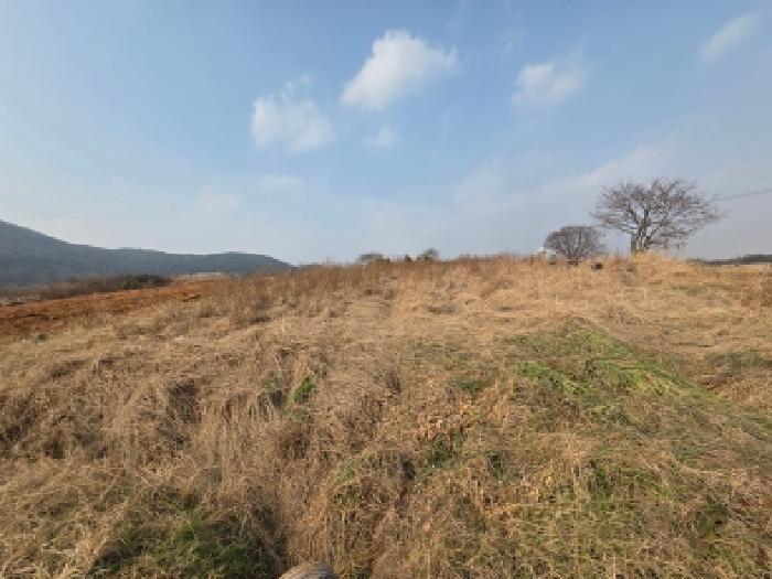 고창군 부안면 상등리 임야 경매 물건 사진