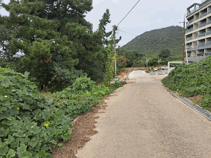 부안군 변산면 격포리 임야 경매 물건 사진