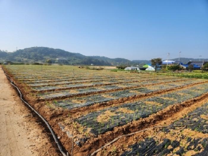 부안군 변산면 지서리 전 경매 물건 사진