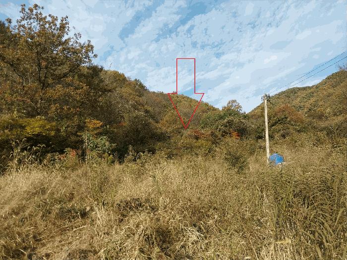 정읍시 쌍암동 1019 답 경매 물건 사진