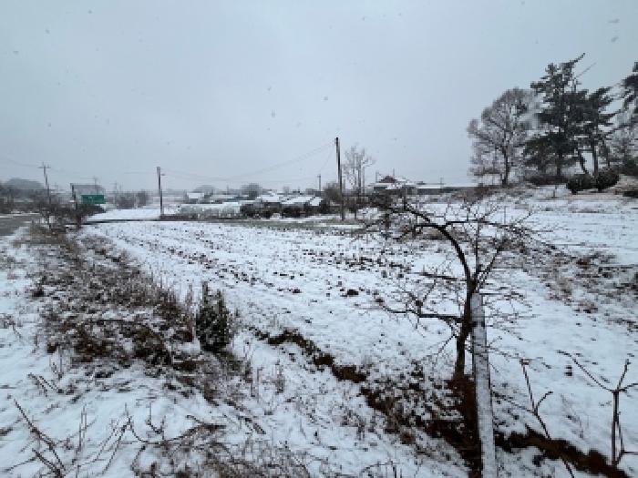 부안군 동진면 증산리 전답 경매 물건 사진