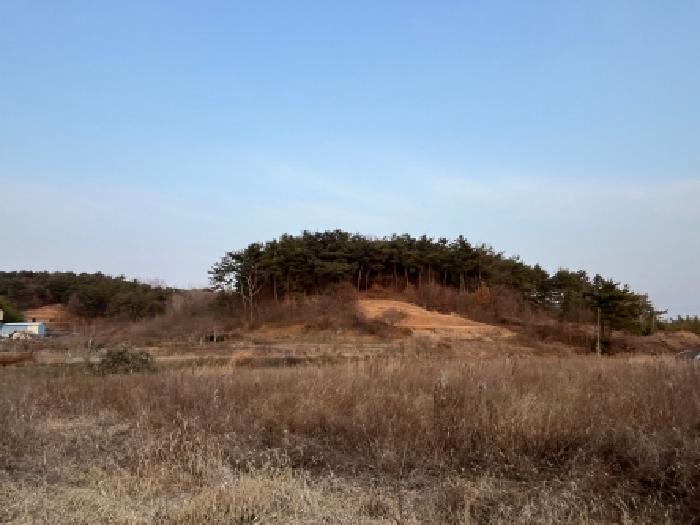 정읍시 덕천면 달천리 임야 경매 물건 사진