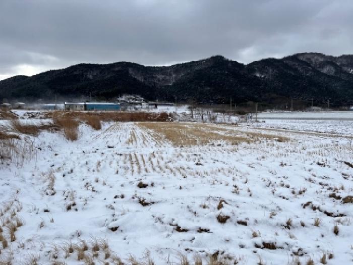 부안군 상서면 용서리 답 경매 물건 사진