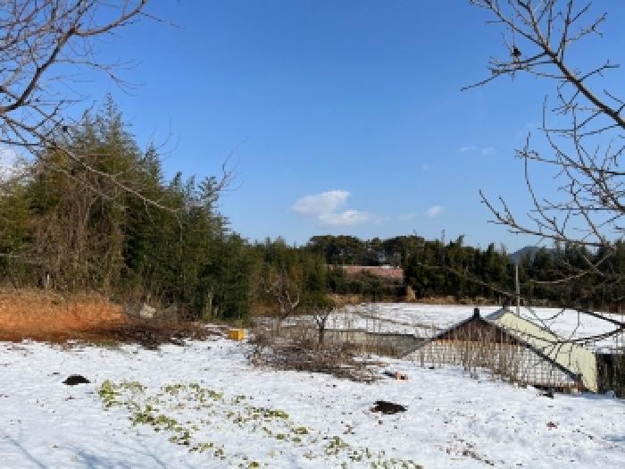 고창군 대산면 매산리 대지 경매 물건 사진